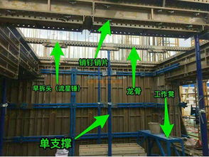 甘肃建筑工程模板 哪儿有卖品质高的建筑工程模板 甘肃赫然建筑模架