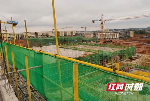 道县 抓实工程建设项目监管验收 助推经济高质量发展